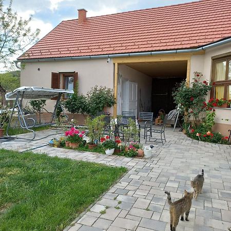 Bormegallo Vendeghaz Szekszárd Extérieur photo