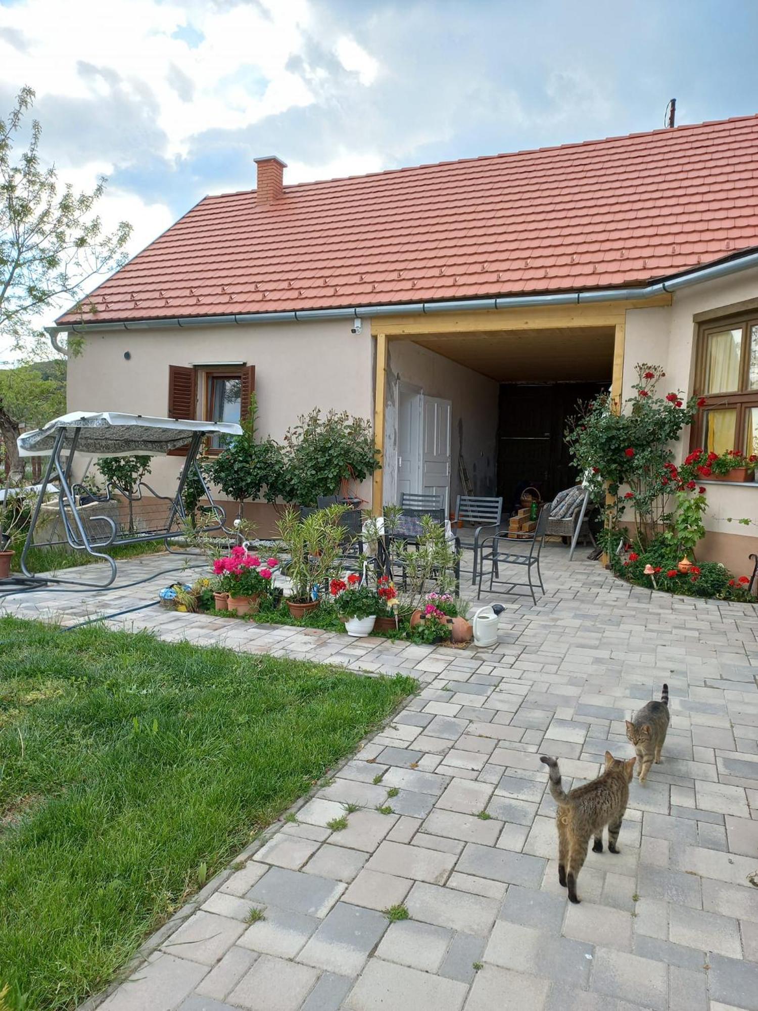 Bormegallo Vendeghaz Szekszárd Extérieur photo